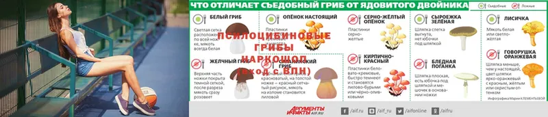 Галлюциногенные грибы ЛСД  где найти наркотики  Дзержинский 